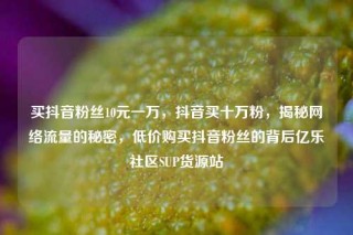 买抖音粉丝10元一万，抖音买十万粉，揭秘网络流量的秘密，低价购买抖音粉丝的背后亿乐社区SUP货源站