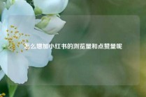 怎么增加小红书的浏览量和点赞量呢