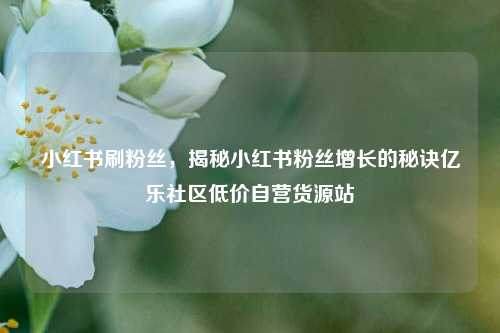 小红书刷粉丝，揭秘小红书粉丝增长的秘诀亿乐社区低价自营货源站  第1张