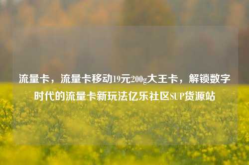 流量卡，流量卡移动19元200g大王卡，解锁数字时代的流量卡新玩法亿乐社区SUP货源站  第1张