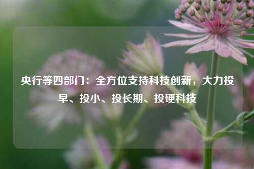 央行等四部门：全方位支持科技创新，大力投早、投小	、投长期、投硬科技  第1张