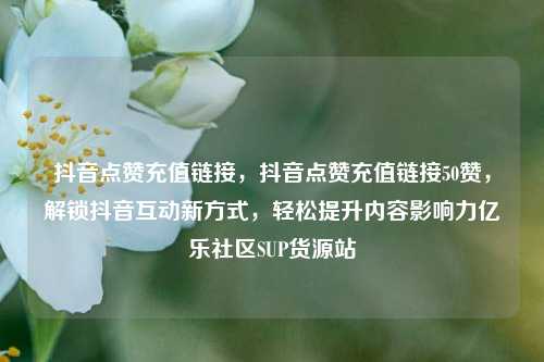 抖音点赞充值链接，抖音点赞充值链接50赞	，解锁抖音互动新方式，轻松提升内容影响力亿乐社区SUP货源站  第1张