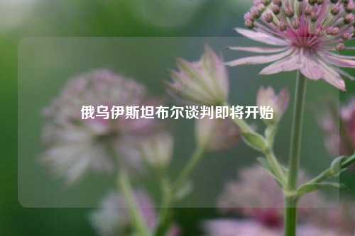 俄乌伊斯坦布尔谈判即将开始  第1张