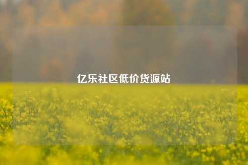 亿乐社区低价货源站  第1张