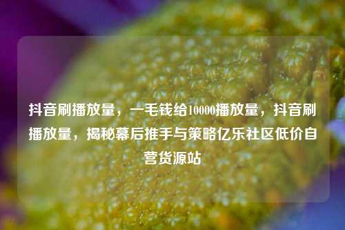 抖音刷播放量，一毛钱给10000播放量，抖音刷播放量	，揭秘幕后推手与策略亿乐社区低价自营货源站  第1张