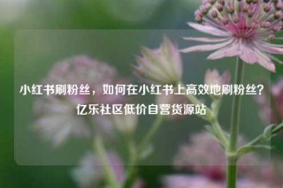 小红书刷粉丝，如何在小红书上高效地刷粉丝？亿乐社区低价自营货源站