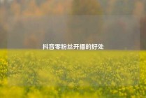 抖音零粉丝开播的好处