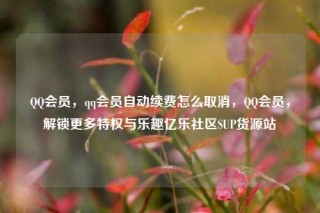QQ会员，qq会员自动续费怎么取消，QQ会员，解锁更多特权与乐趣亿乐社区SUP货源站