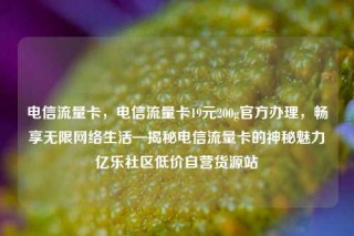 电信流量卡，电信流量卡19元200g官方办理，畅享无限网络生活—揭秘电信流量卡的神秘魅力亿乐社区低价自营货源站