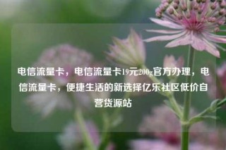 电信流量卡，电信流量卡19元200g官方办理，电信流量卡，便捷生活的新选择亿乐社区低价自营货源站