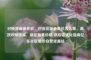 对接货源最低价，对接货源最低价怎么算，高效对接货源，锁定最低价格 供应链优化指南亿乐社区低价自营货源站