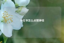 小红书怎么点赞挣钱