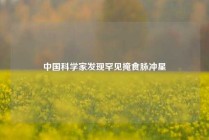 中国科学家发现罕见掩食脉冲星
