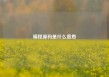 编程源码是什么意思