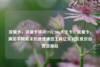 流量卡，流量卡移动19元200g大王卡，流量卡，满足不同需求的便捷通信工具亿乐社区低价自营货源站