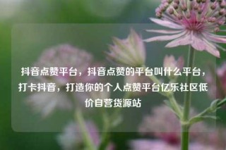 抖音点赞平台，抖音点赞的平台叫什么平台，打卡抖音，打造你的个人点赞平台亿乐社区低价自营货源站