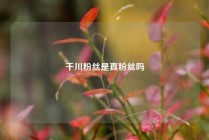 千川粉丝是真粉丝吗