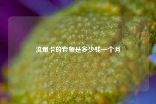 流量卡的套餐是多少钱一个月