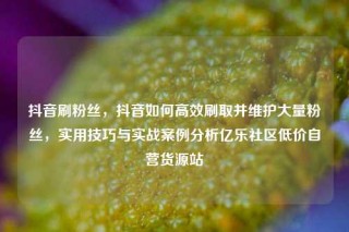 抖音刷粉丝，抖音如何高效刷取并维护大量粉丝，实用技巧与实战案例分析亿乐社区低价自营货源站