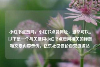 小红书点赞网，小红书点赞网址，当然可以。以下是一个与关键词小红书点赞网相关的标题和文章内容示例，亿乐社区低价自营货源站