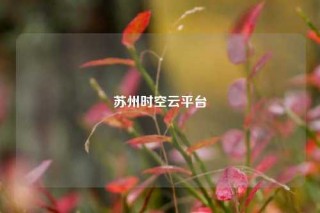 苏州时空云平台