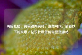 两碗社区，两碗镇两碗村，当然可以，请看以下的文章，亿乐社区低价自营货源站