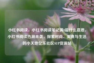 小红书阅读，小红书阅读笔记满8篇什么意思，小红书阅读热潮来袭，探索时尚、美食与生活的小天地亿乐社区SUP货源站