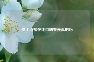 快手点赞在线自助餐是真的吗