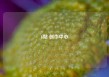b站 创作中心