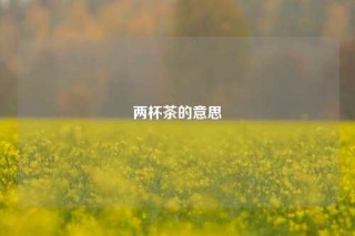 两杯茶的意思