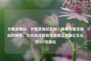 卡盟货源站，卡盟货源站官网，揭秘卡盟货源站的秘密，如何高效获取优质商品资源亿乐社区SUP货源站