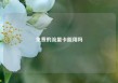 免费的流量卡能用吗