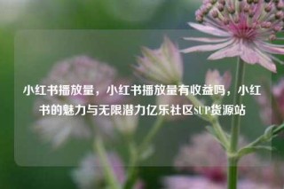 小红书播放量，小红书播放量有收益吗，小红书的魅力与无限潜力亿乐社区SUP货源站