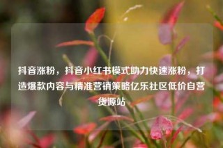 抖音涨粉，抖音小红书模式助力快速涨粉，打造爆款内容与精准营销策略亿乐社区低价自营货源站