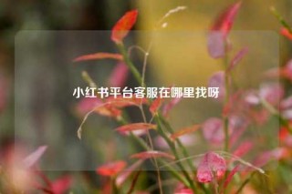 小红书平台客服在哪里找呀