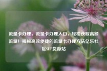 流量卡办理，流量卡办理入口，轻松获取高额流量！揭秘高效便捷的流量卡办理方法亿乐社区SUP货源站