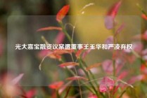 光大嘉宝融资议案遭董事王玉华和严凌弃权