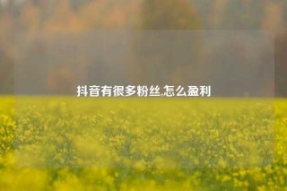 抖音有很多粉丝,怎么盈利