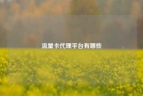 流量卡代理平台有哪些