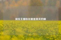 淘宝主播粉丝量是真实的嘛