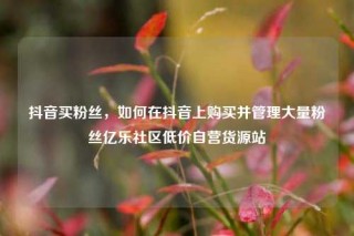 抖音买粉丝，如何在抖音上购买并管理大量粉丝亿乐社区低价自营货源站