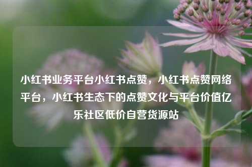 小红书业务平台小红书点赞，小红书点赞网络平台，小红书生态下的点赞文化与平台价值亿乐社区低价自营货源站  第1张