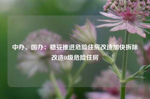 中办、国办：稳妥推进危险住房改造加快拆除改造D级危险住房  第1张