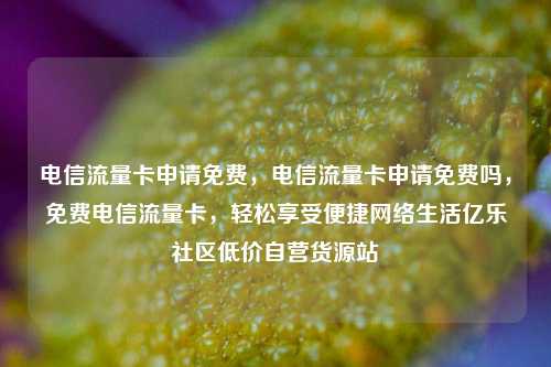 电信流量卡申请免费，电信流量卡申请免费吗，免费电信流量卡，轻松享受便捷网络生活亿乐社区低价自营货源站  第1张