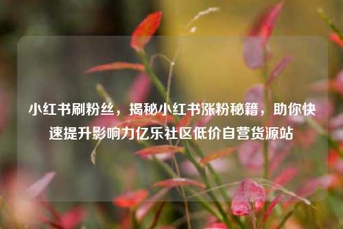 小红书刷粉丝，揭秘小红书涨粉秘籍，助你快速提升影响力亿乐社区低价自营货源站  第1张
