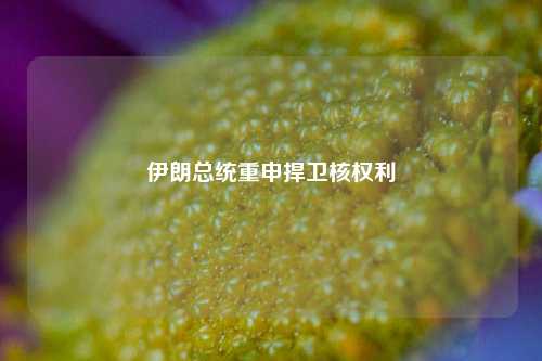 伊朗总统重申捍卫核权利  第1张