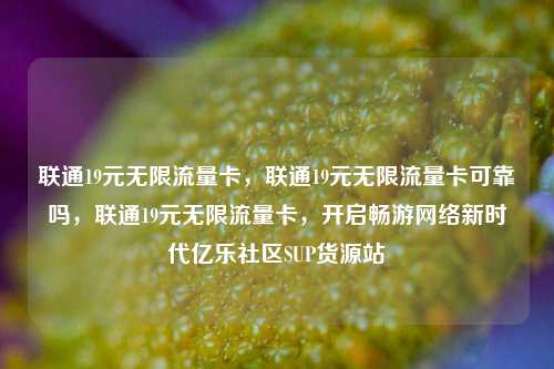 联通19元无限流量卡，联通19元无限流量卡可靠吗，联通19元无限流量卡	，开启畅游网络新时代亿乐社区SUP货源站  第1张
