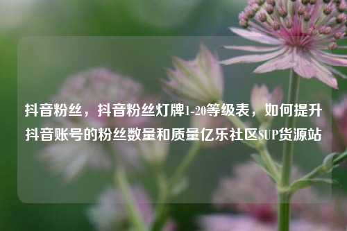 抖音粉丝，抖音粉丝灯牌1-20等级表	，如何提升抖音账号的粉丝数量和质量亿乐社区SUP货源站  第1张