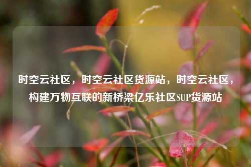 时空云社区	，时空云社区货源站，时空云社区，构建万物互联的新桥梁亿乐社区SUP货源站  第1张