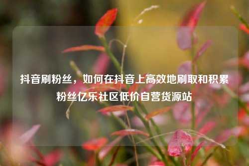 抖音刷粉丝，如何在抖音上高效地刷取和积累粉丝亿乐社区低价自营货源站  第1张